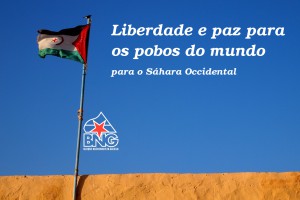 Sáhara Occidental. Bloque Nacionalista Galego